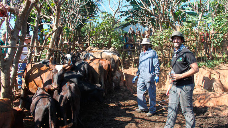 Veterinarios en África