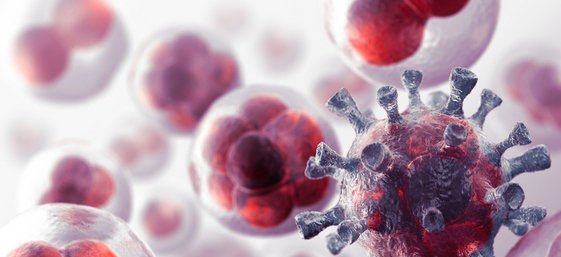 English Cathedra of Modern Oncology Research (ECMOR)