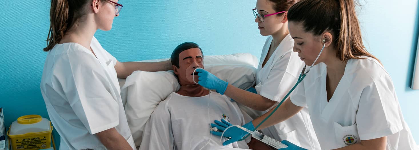 Degree in Nursing