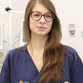 Sandra Sanchis: destino, el Royal Veterinary College de Londres