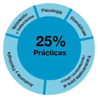 Anatomía, valoración y primeras técnicas de tratamiento