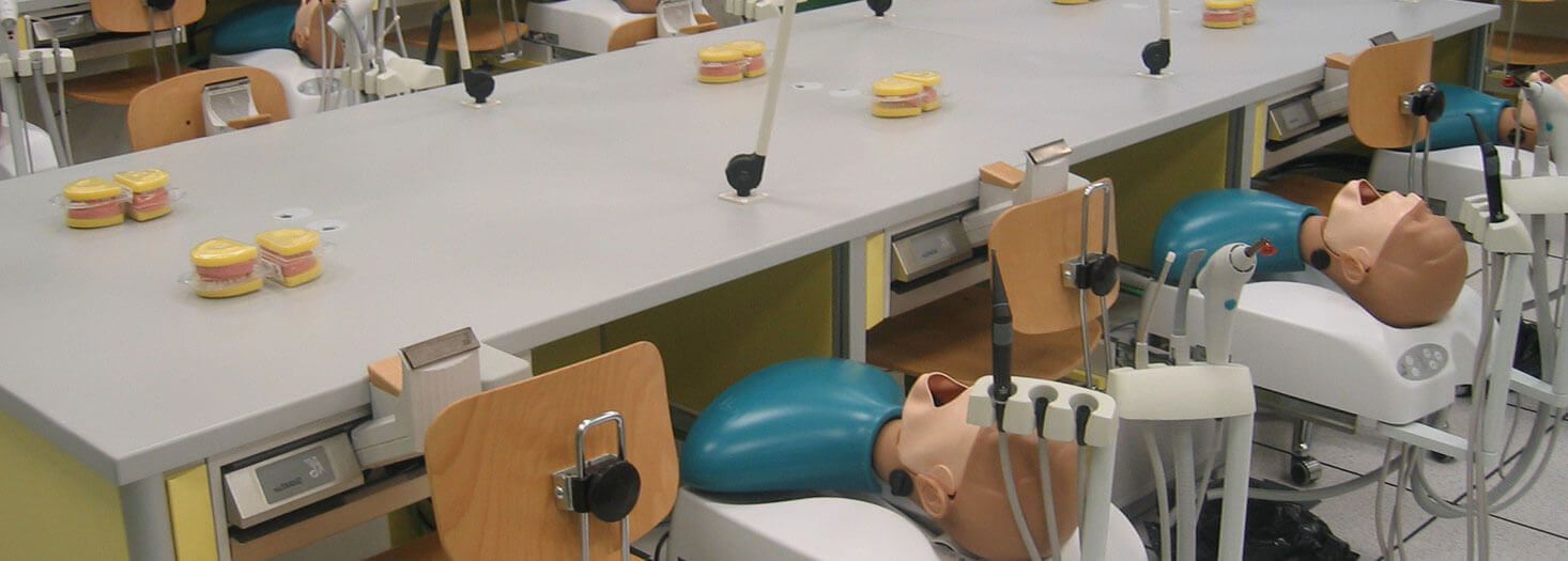 Master's Degree in Orthodontics and Dentofacial Orthopaedics
