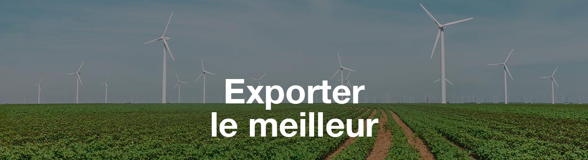 Exporter le meilleur