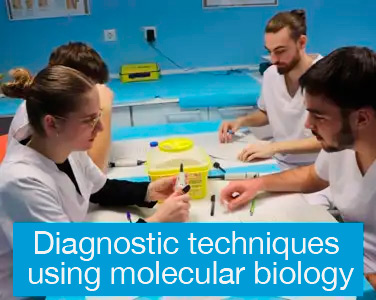 Diagnostic techniques using molecular biology