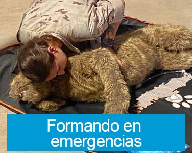 Training in Emergencies