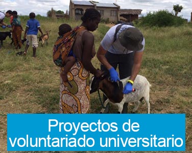 University Volunteering Projects