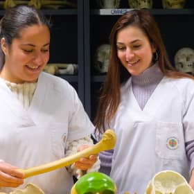 Bourses Stages Cliniques Internationales CEU pour étudiants en 5e année de Médecine