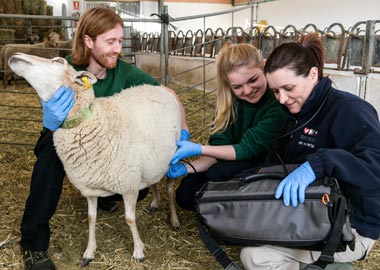 Granja Docente y de Investigación Veterinaria