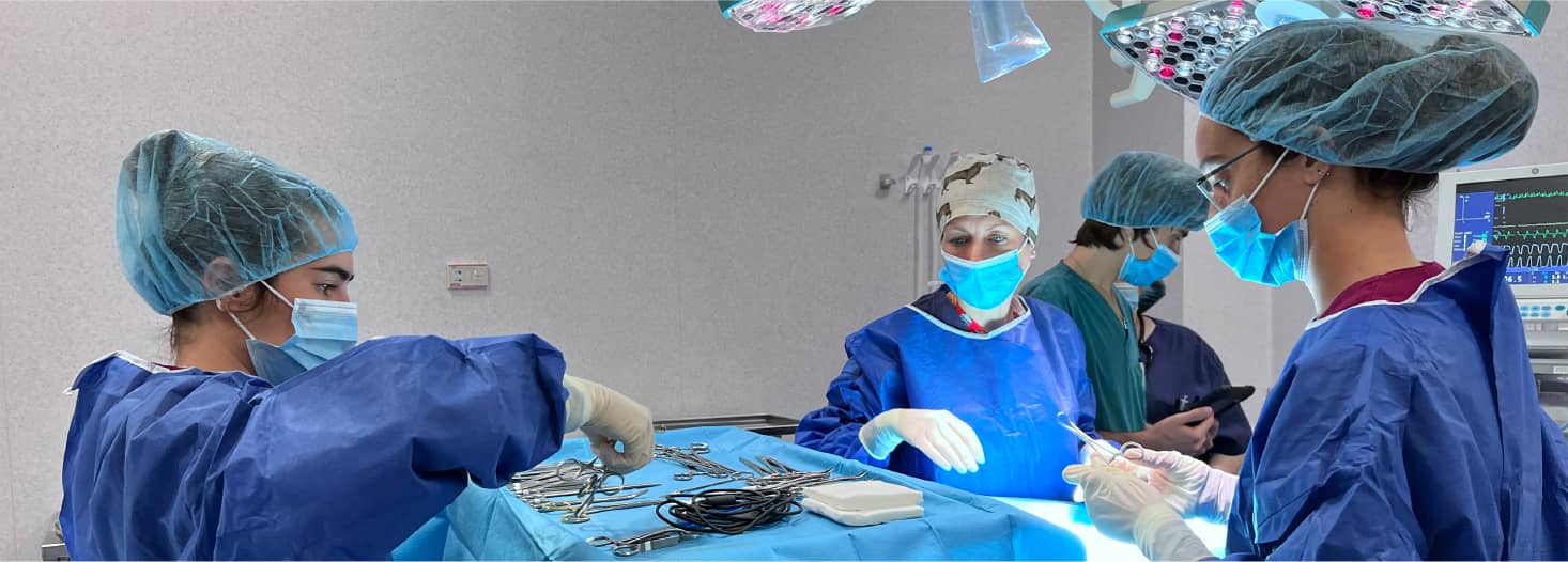 Veterinary Clinical Hospital