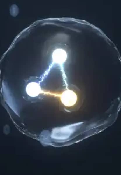 Nouvelle Licence en Physique